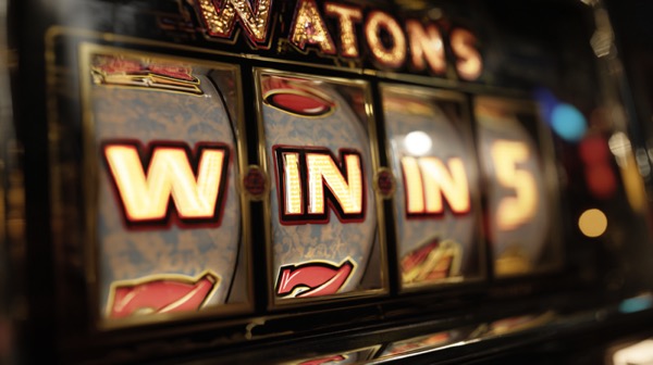 Interface da plataforma Stake Brasil